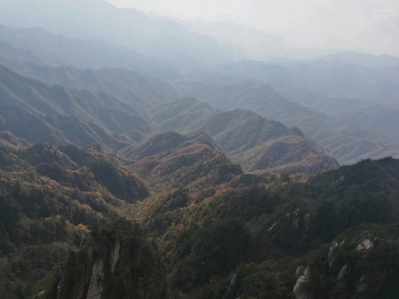 深圳律师团队为您讲解不服用人单位擅自调动岗位找那个部门