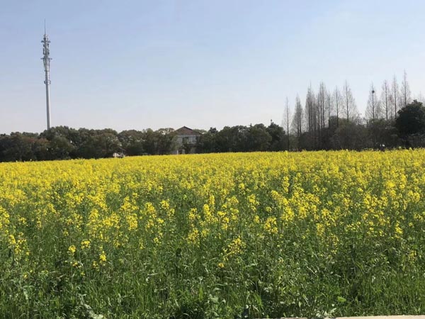 深圳拆迁律师来讲讲承租人配偶随承租人同住于此是否属于同住人