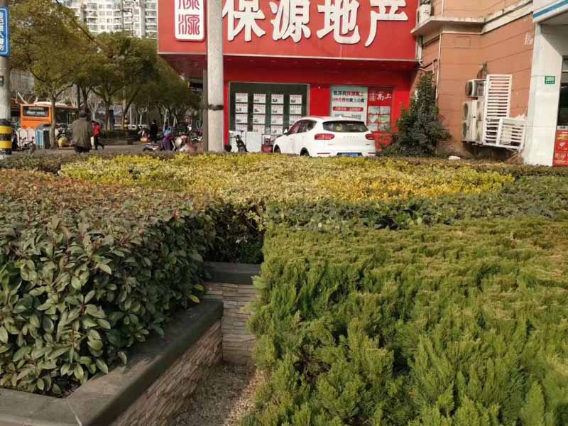 深圳大律师为您讲解专利侵权通过和解解决好还是诉讼方式好