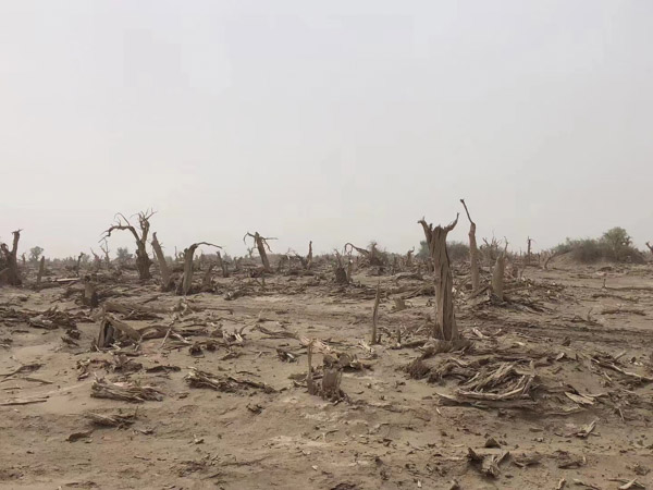 深圳正规的律师事务所为您介绍承包人已起诉发包人支付工程款怎样担责